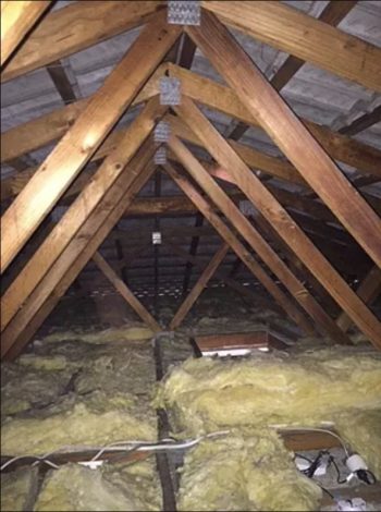pre-purchase-building-inspections-image