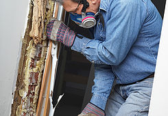 Termites in your home