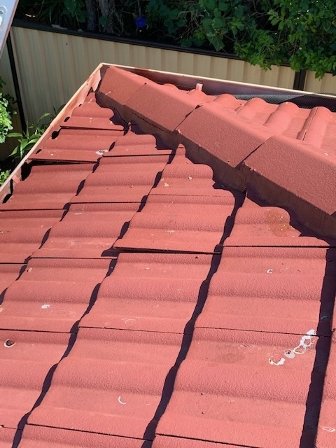 Uneven Roof Tiles due to Termite Damage Roof Timbers to a house in Beenleigh