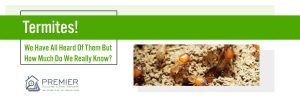 termites-how-much-do-we-know-landscape